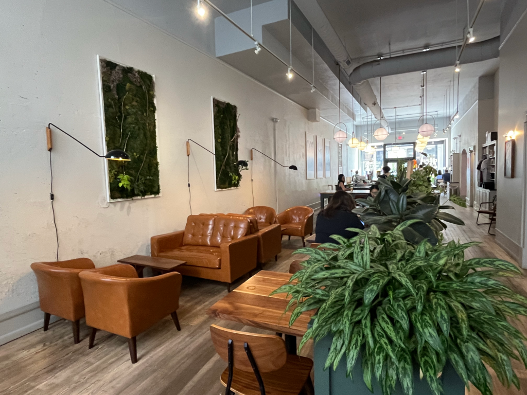 Leather couches and chairs beside plants on the walls and counters inside Deeper Roots Coffee on 4th Street
